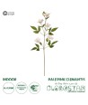 GloboStar® Artificial Garden PALE PINK CLEMANTIS BRANCH 21332 Τεχνητό Διακοσμητικό Κλαδί Ροζ Κλημεντίνα Y80cm